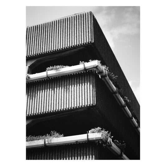 Plants Persist - 5x7 Photo Print