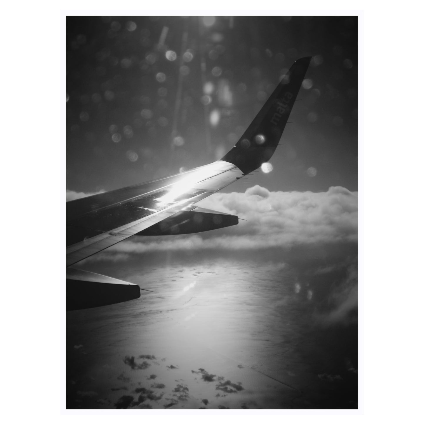 Wings Over Water - 5x7 Photo Print