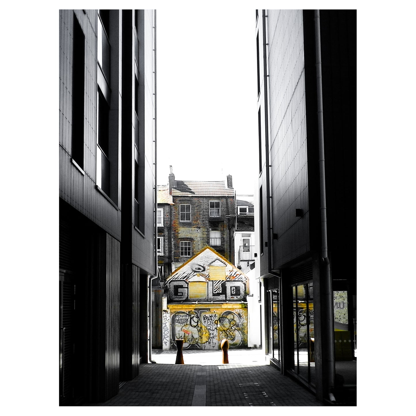 Gold - 5x7 Photo Print