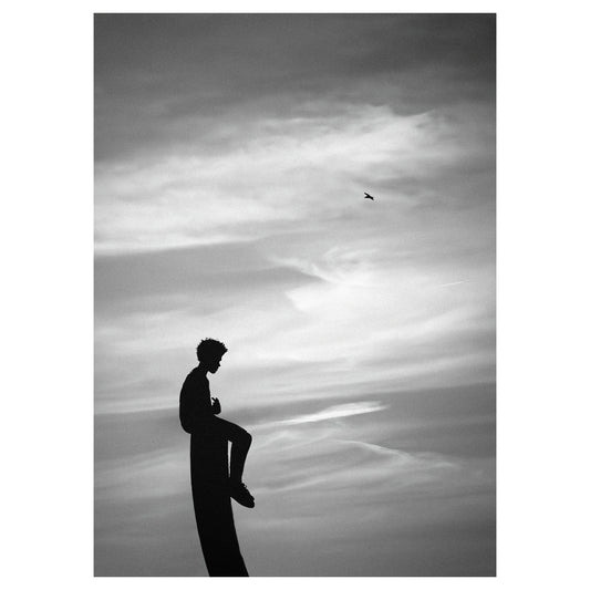 Perched - 5x7 Photo Print