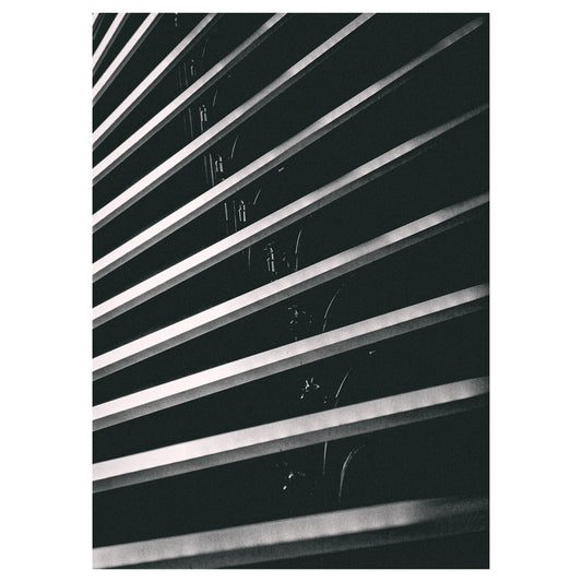 Ammonite - 5x7 Photo Print