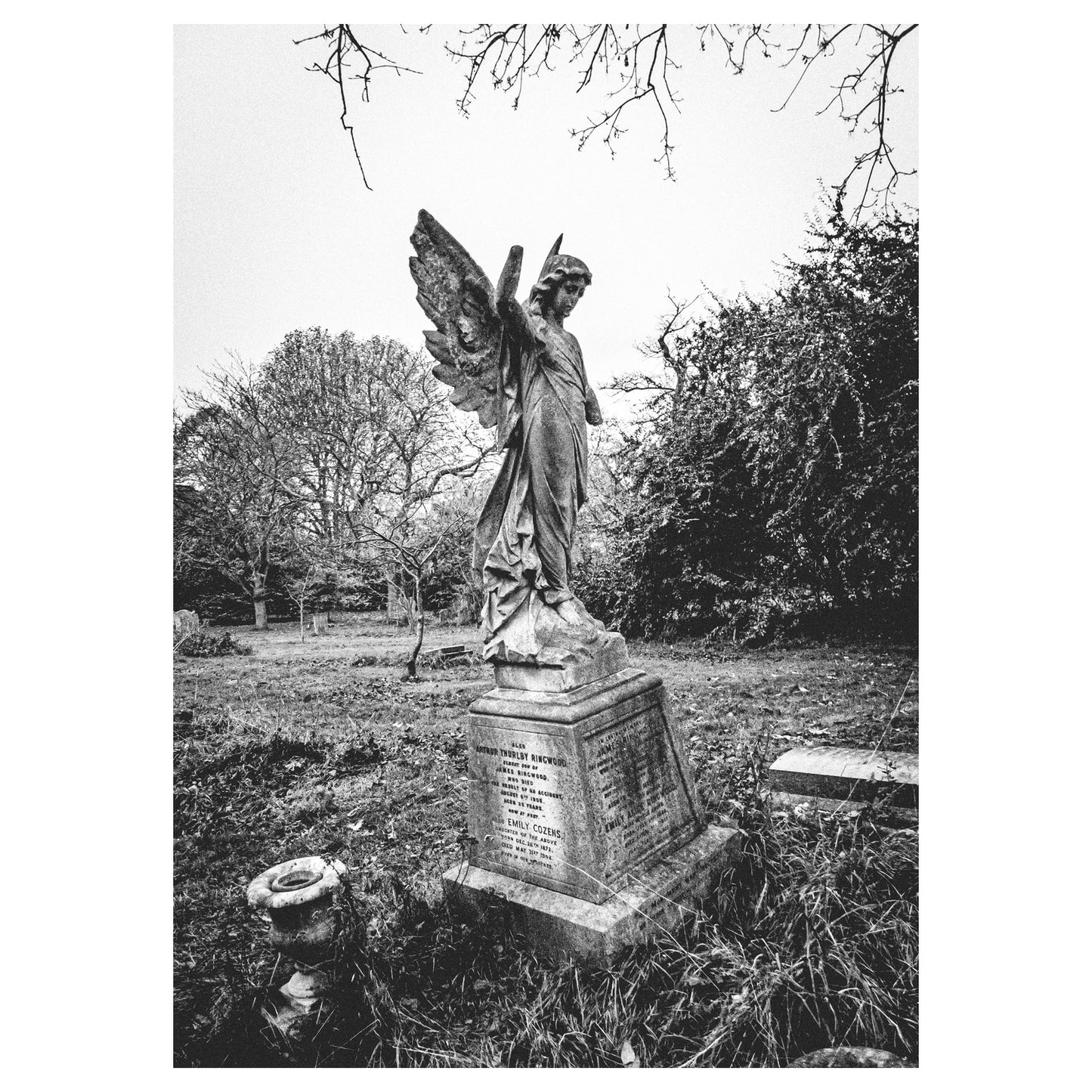 Eternal Vigil - 5x7 Photo Print