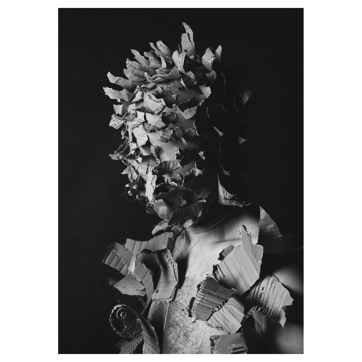 Ripped - 5x7 Photo Print