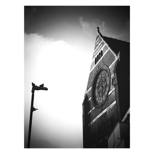 The Onlookers - 5x7 Photo Print