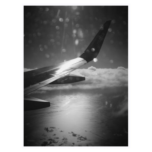 Wings Over Water - 5x7 Photo Print