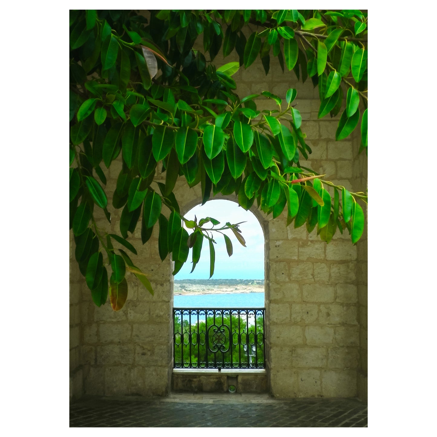 Bay View - 5x7 Photo Print