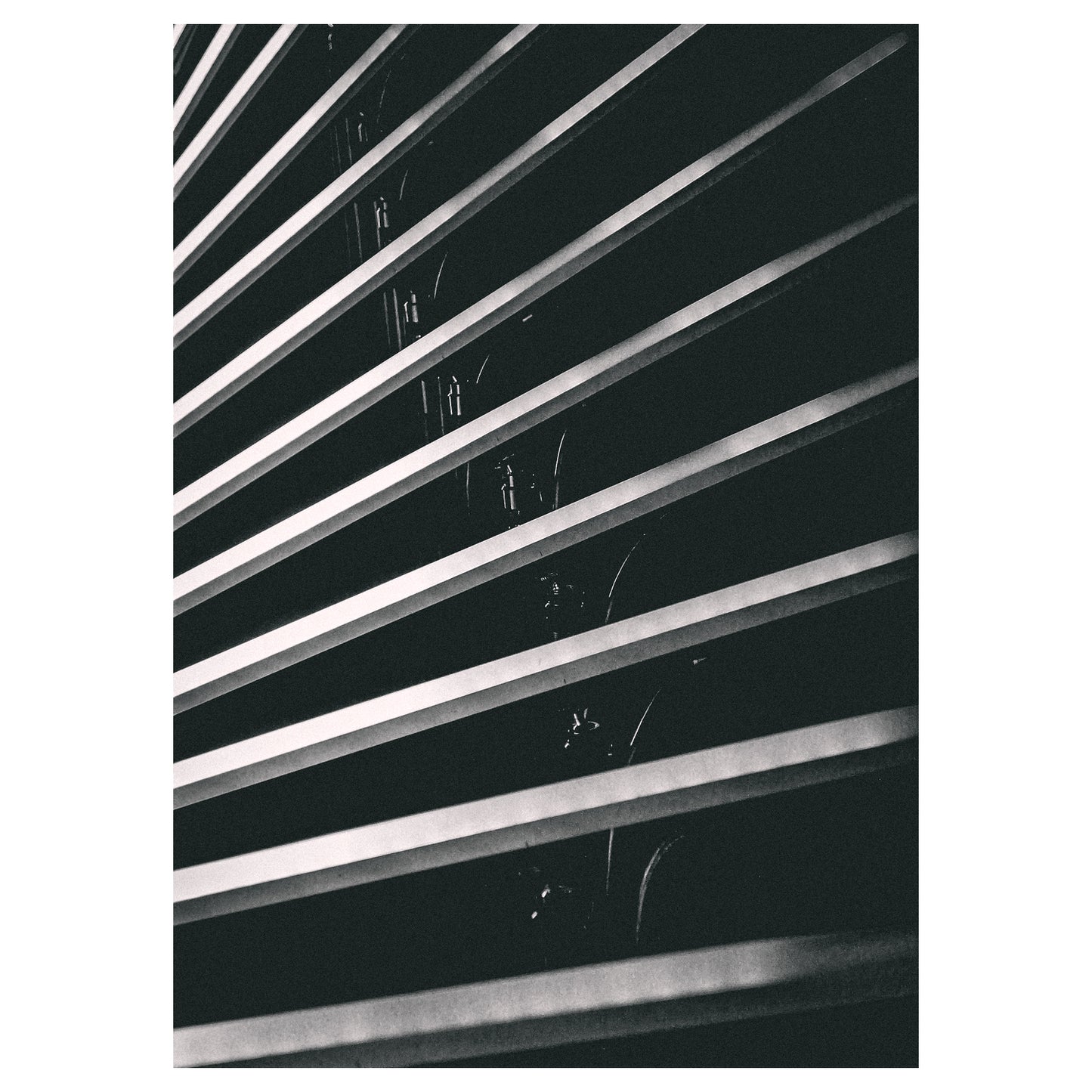 Ammonite - 5x7 Photo Print